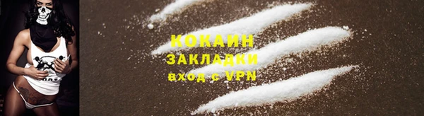 мет Елизово