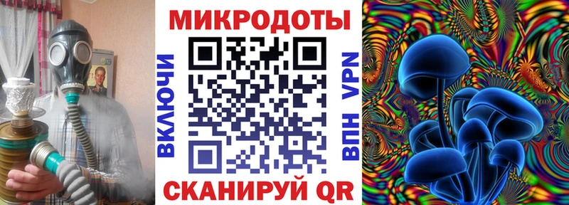 Псилоцибиновые грибы прущие грибы  Злынка 