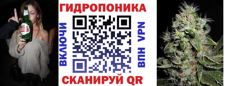 blacksprut вход Злынка Бошки Шишки Amnesia